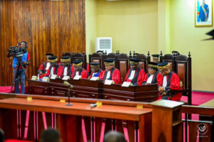 cour constitutionnelle