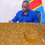 Maïs à Mbujimayi